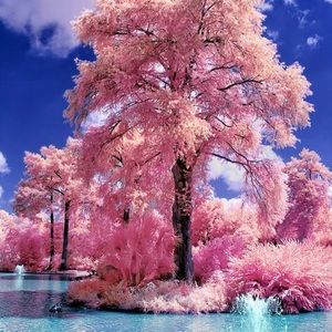 Meet your Posher, Eduwiges